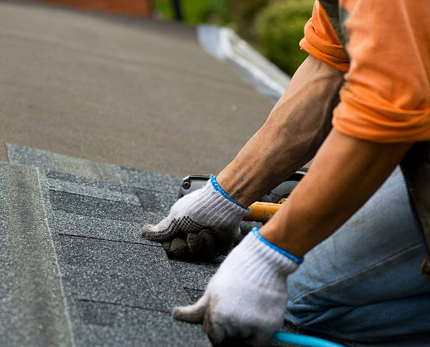 Best Gutter Installation and Roofing  in Mcdade, TX