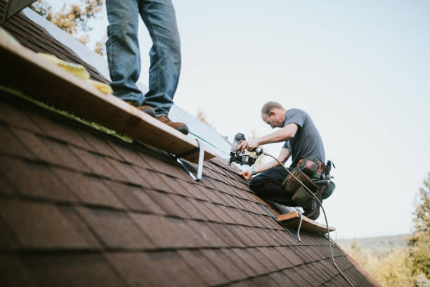 Best Roof Leak Repair  in Mcdade, TX